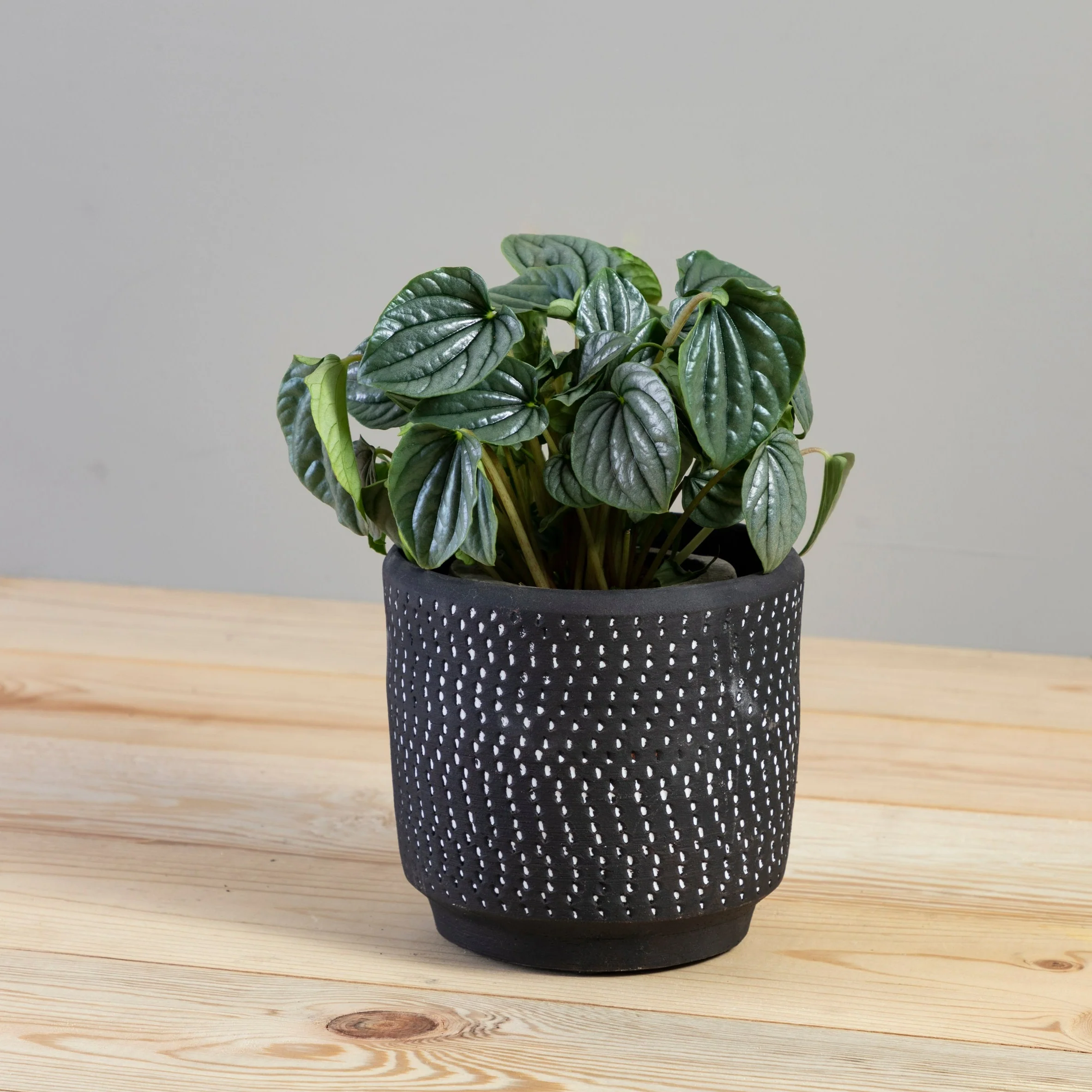 Stoneware Pots & Planters